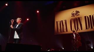 Vaya Con Dios -  Lulu's Song (Live)