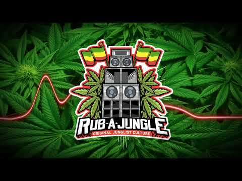 🟩🟨🟥 Parly B, Daddy Freddy, Tippa Irie & Interrupt - Lyrics Spree ( FLECK VETERANS CUT REMIX )