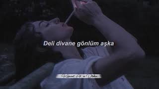 Sezen AKSU -  Geçer(sözleri)