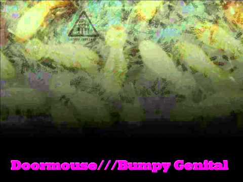 Doormouse - Bumpy Genital