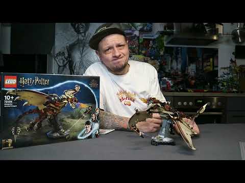 BrickNic schaut auf Lego® Harry Potter 76406 Der ungarische Hornschwanz und Harry in Sportdress