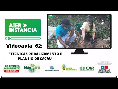 ATER A DISTÂNCIA: Videoaula 62 " TÉCNICAS DE BALIZAMENTO E PLANTIO DE CACAU''