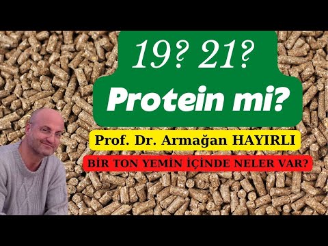 , title : 'Kaç Protein Yem Kullanmalıyım? Yemin içinde neler var?'
