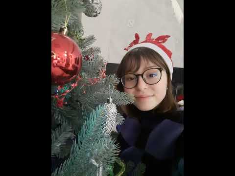 Ionela AMARFII - Winter dream