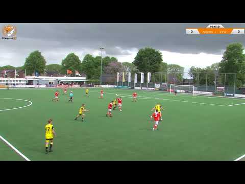 Samenvatting Angeren - VVO