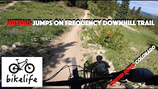 Frequency Downhill MTB Trail