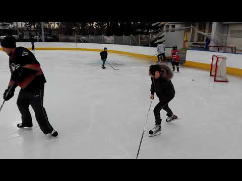 Szombathelyi Pingvinek bemutató a Jégkarneválon