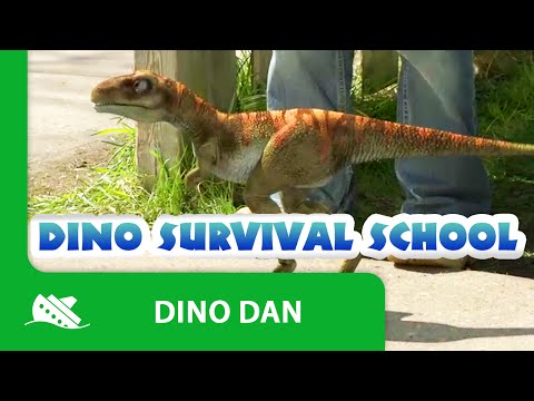 Dino Dan | Trek's Adventures: Dino Survival School - Episode Promo