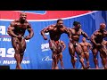 Roelly