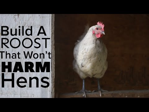 , title : 'How To Build A Chicken Roost That Won’t Harm Your Chickens'