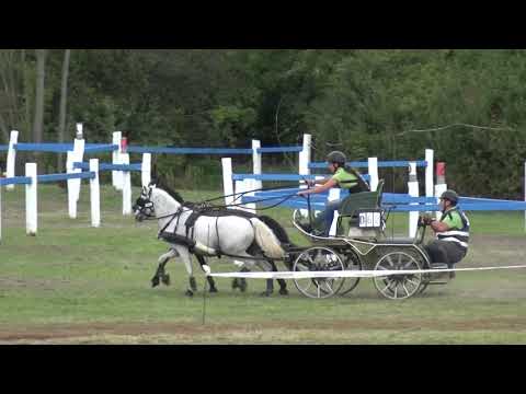 Evelin BALLA (HUN) FEI CH-M-A Ponies, P2, Ászár-Kisbér (HUN), marathon, obst. Nr. 8, 28.09.2019