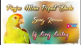Pinjre Main Popat Bole Dj Song (2020 Best Dj Song)