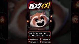 【超自然スクワッドBB杯】≪超スクイズ㊽≫『怪異レッサーパンダ正しい事は？』#超スクBB杯 #仲間と肝試し【超自然スクワッドBB杯】67