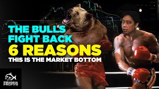 Stock Market Bulls fight Back. 6 Reasons this is the Market Bottom