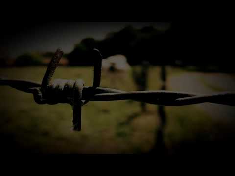 Backing Track Kreator Style in D minor