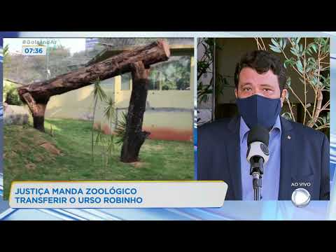 JUSTIÇA MANDA ZOOLÓGICO TRANSFERIR O URSO ROBINHO