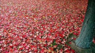 Tennessee waltz by Holly Cole Trio