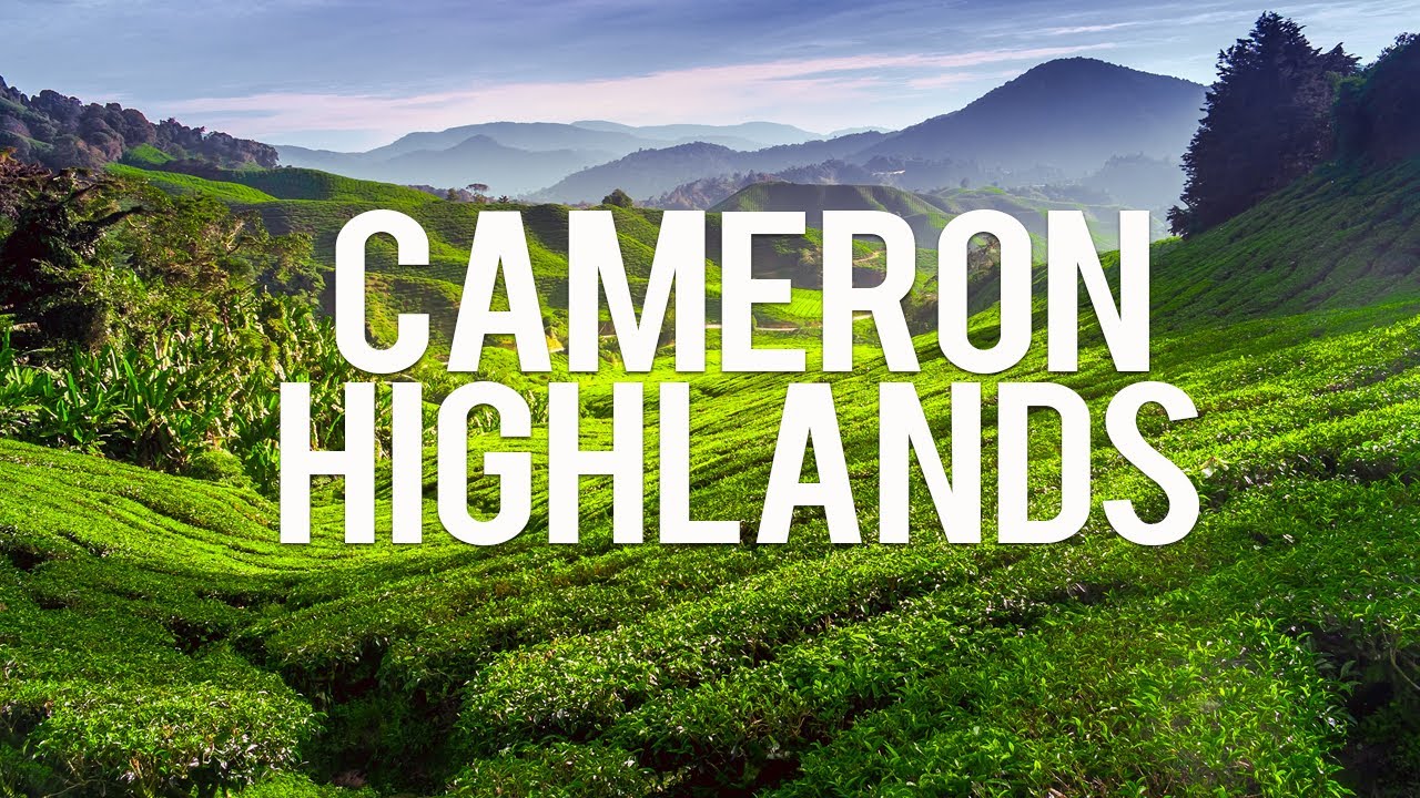 Cameron Highlands Malaysia: 10 Best Things to do in the Cameron Highlands Malaysia