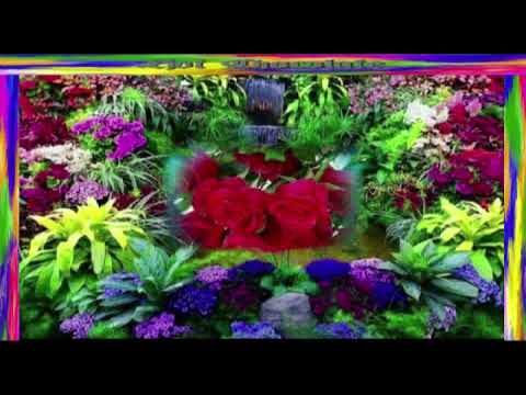 Hot Chocolate- Emma.