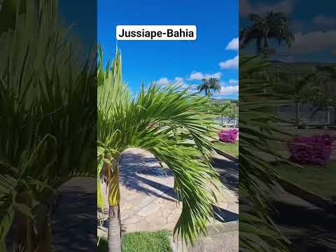 Jussiape-Bahia