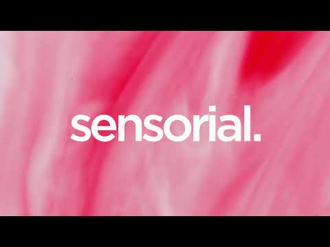 Mau P - Drugs From Amsterdam