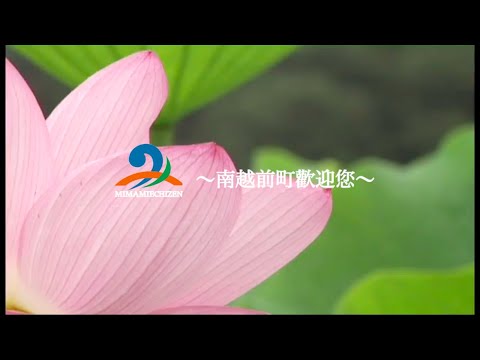 日本福井縣南越前町觀光宣傳影片 台日友好交流禮物企劃-尋找“蓮花寶寶“大作戦①