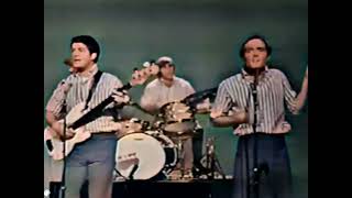 The Beach Boys – Johnny B Goode (1965)