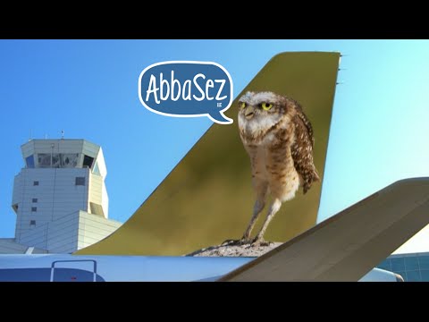 FRONTIER ANIMAL AUDITIONS: PART 2