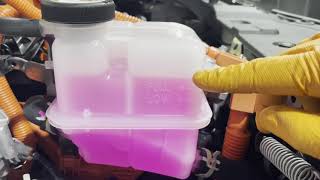 2015-2021 Lexus NX300h All Underhood Fluids Level Inspection And Top Up Instructions