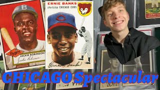 CHICAGO Sports Spectacular   WOW