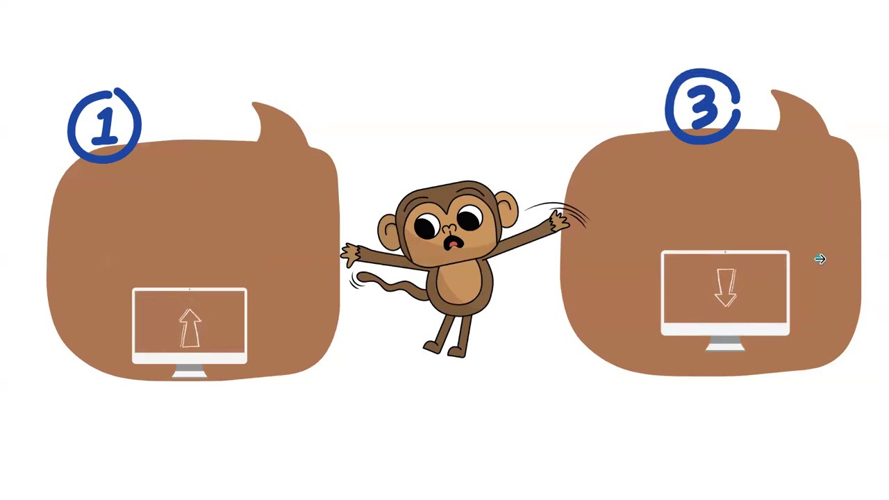 Summer Coding Camp 2024