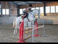  cavallo bravissimo per salto ostacoli