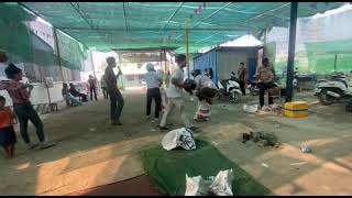 បុគ្គលិកលោតបាវប្រណាំងគ្នា / Jumping Sack Competition