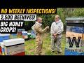 How To Manage Thousands Of Beehives With David Wainwright Wainwrights Bee Farm