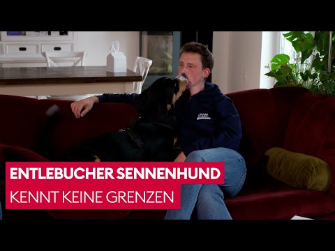 Bruno maßregelt seine Besitzer | Der Hundeprofi