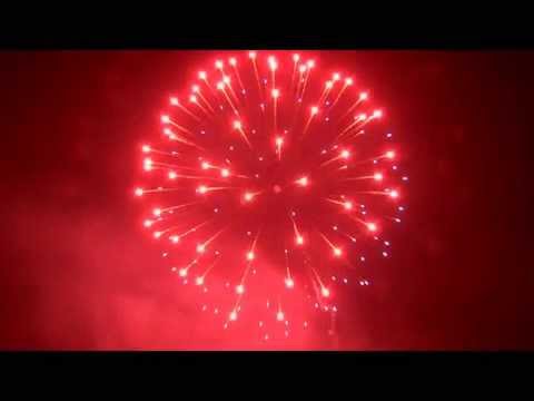 PFP11425   100mm Shell   Half Red Half Blue Peony