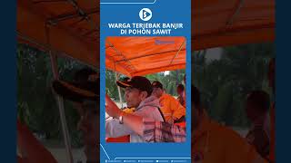 Download lagu Warga Terjebak Banjir di Pohon Sawit mp3