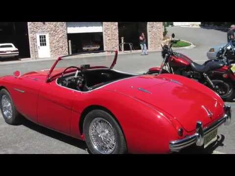 1954 Austin-Healey 100M (CC-1356528) for sale in Winchester, Virginia