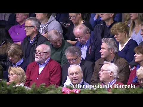 Barcelo Hengstkollektion Englisch 2019