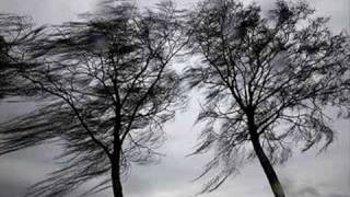 Bis der Wind sich dreht