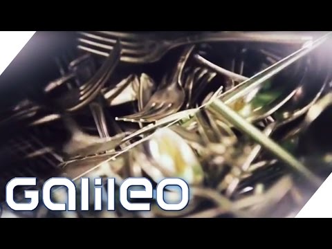 download lagu mp3 mp4 Besteck, download lagu Besteck gratis, unduh video klip Besteck