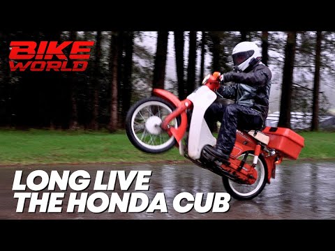 LONG LIVE THE HONDA CUB | WHAT DOES THE CUB MEAN TO YOU?