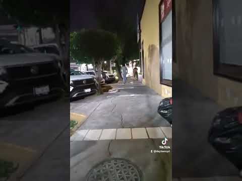 He left without paying for the tacos 🌮😂🤣🤣