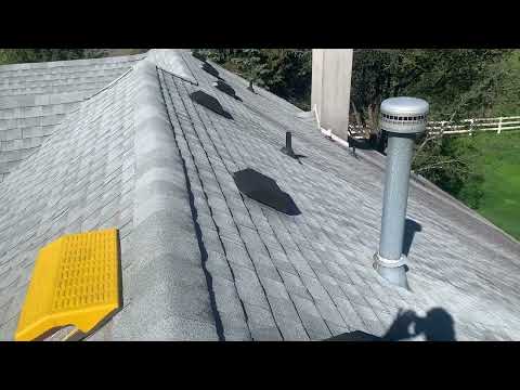 Keeping the Flying Squirrels Out of the Attic Fans in Hillsborough, NJ