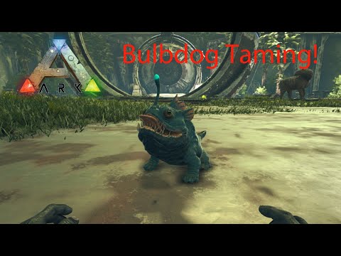 ARK: BULBDOG LOCATION AND TAMING! HOW TO TAME BULBDOG ON ABERRATION! - ARK SURVIVAL EVOLVED DLC