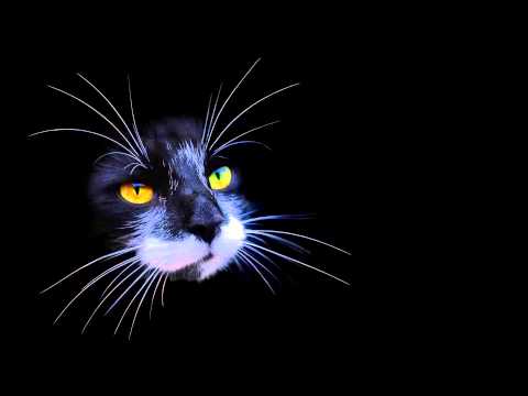 Andain vs. Tom Swoon - Promises Wings (Mÿon & Shane 54 Mashup)