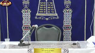 בית המדרש "תורת דוד" ¤ שידור חי ¤ י"ח אב תשפ"ה (12.8.2024) (מוסדות תורת דוד) - התמונה מוצגת ישירות מתוך אתר האינטרנט יוטיוב. זכויות היוצרים בתמונה שייכות ליוצרה. קישור קרדיט למקור התוכן נמצא בתוך דף הסרטון