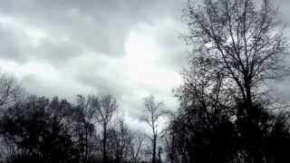 Dreamland-cover-stormy wolf