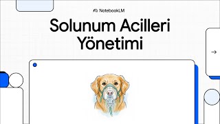 Veteriner Acil 3.Bölüm: Solunum Acilleri