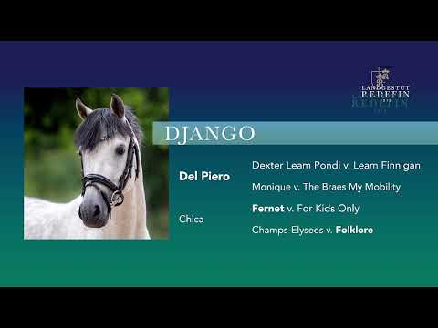 Django v. Del Piero - Fernet, DR, Hengst gekört * 2019